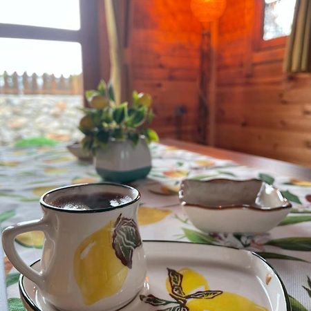 Andizalti Doga Evleri Limon Ev Datca Villa Luaran gambar