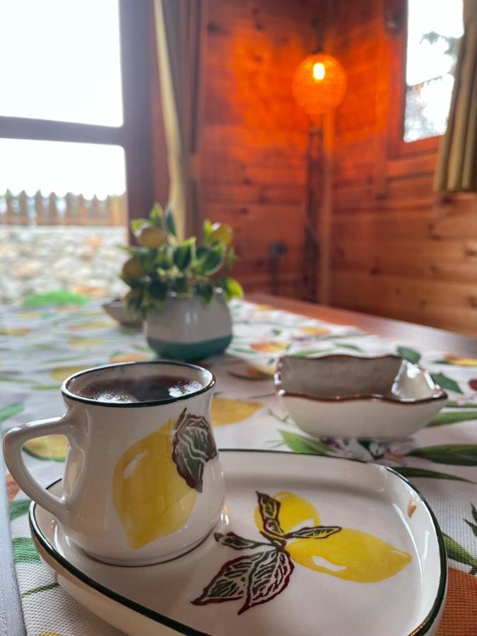 Andizalti Doga Evleri Limon Ev Datca Villa Luaran gambar